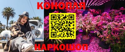 шишки Славянск-на-Кубани