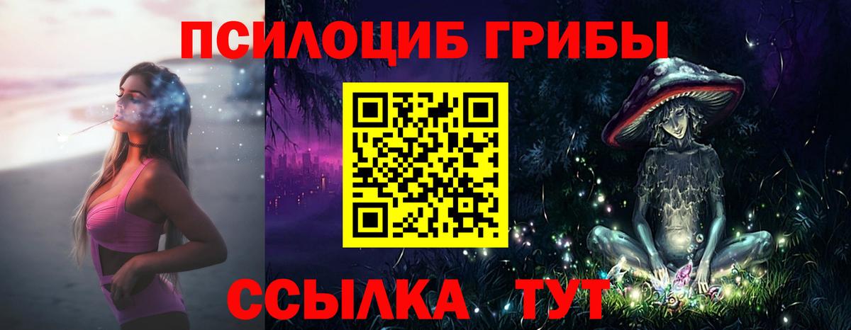 Псилоцибиновые грибы мицелий  Вход с VPN  Нальчик 