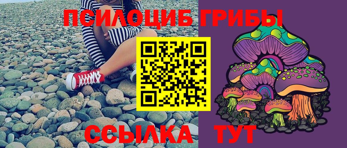 Галлюциногенные грибы Cubensis Нальчик